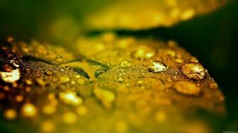Widescreen HD Wallpaper Best High Definition