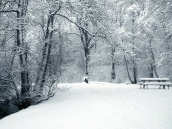 Best Wallpaper Collection Winter