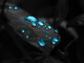 Photo Water Drops Best HD Wallpaper iPad
