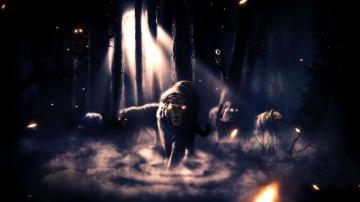 Night Forest Fog Animals Tiger Lion Bear Owl Monkey Wolf