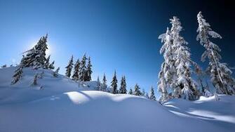 White Snow Fields Pc Wallpaper