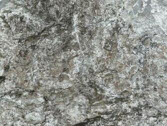 Pin Surface Rough Black Wallpaper Kingdom