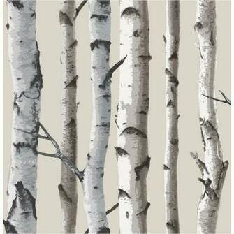 Home Wallpaper Fine Decor Birch Tree