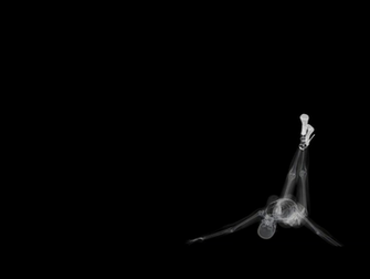 You Are Ing X Ray HD Wallpaper Color Palette Tags Category