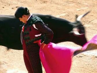 Bull Fighter Wallpaper