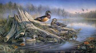 Wood Duck Wallpaper