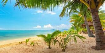 Sand Sea Sky Palm Trees Nature Tropical Landscape Beautiful Wallpaper