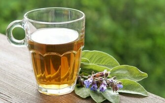 Green Tea Wallpaper