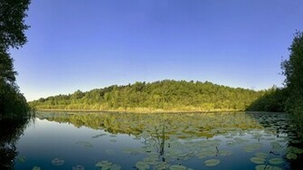 Incredible Nature Full HDtv Wallpaper