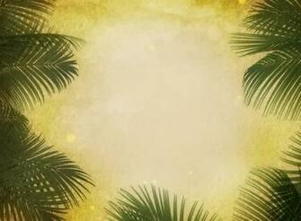 Palm Sunday Background Sd Vertical Hold Media Sermonspice