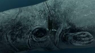 Moby Dick Wallpaper