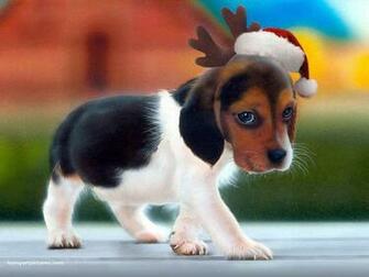 Puppy Christmas Wallpaper