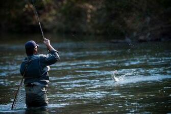 Fly Fishing Wallpaper