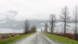 Wallpaper Autumn Road Country