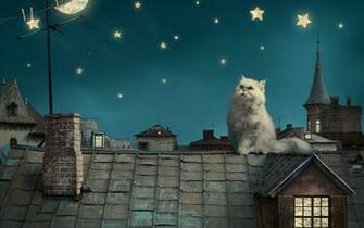 Persian White Cat Kitten Fairytale Fantasy Roof House Sky