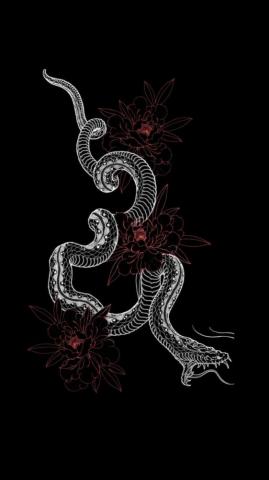 Japanese Dragon Wallpaper Awesome HD