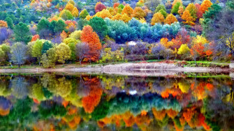Autumn Scenery 4k HD Wallpaper Image