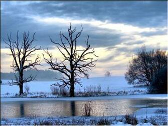 Gloomy Day Wallpaper A Cold Snowy