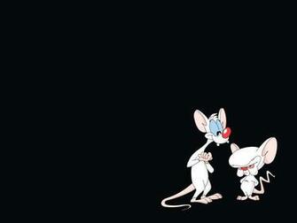Pinky And The Brain HD Wallpaper Background