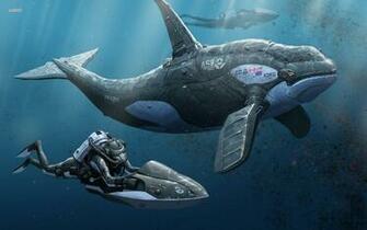 Orca Killer Whale HD Wallpaper