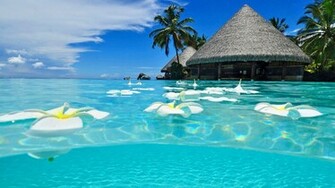 HD Exotic Paradise Wallpaper Mela