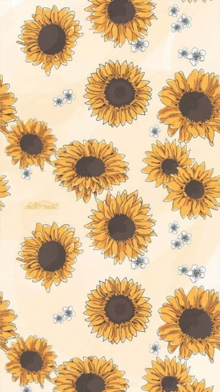 Bunch Of Sunflower Yellow Aesthetic Wallpaper