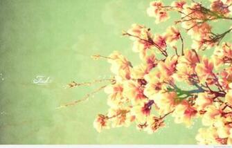 Full HD P Spring Wallpaper Desktop Background
