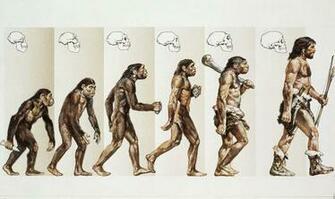 Scientists Discover New Species Of Human Science News