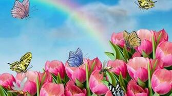 Animated Flower Wallpaper Best HD Wallpapercute