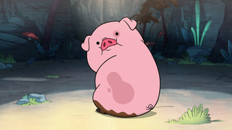 Waddles Gravity Falls Wiki