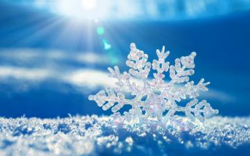 Widescreen Winter Wallpaper In High Resolution HD