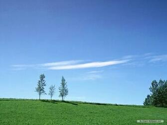 Wallpaper Nature Season Summer