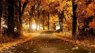 Windows Autumn Desktop Wallpaper In HD