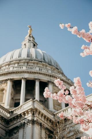 University College London Pictures Image