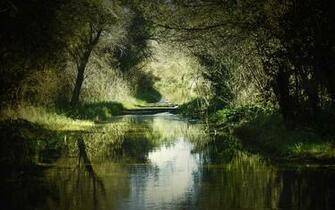 HD Nature Wallpaper Funny Picture