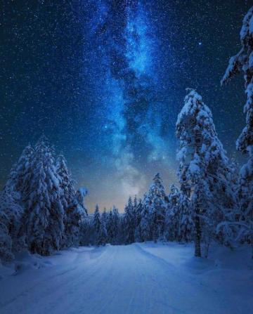 HD Winter Wallpaper Whatspaper