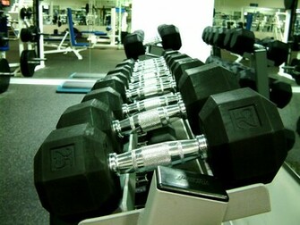 Your Local Gym Fitx Wordpress Theme