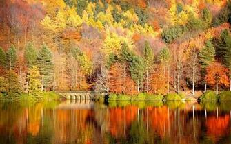 Wallpaper Landscape Windows