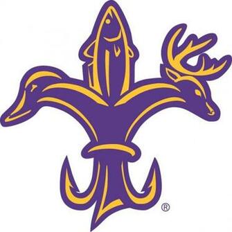 Cool Lsu Saints HD Desktop Wallpaper Pictures