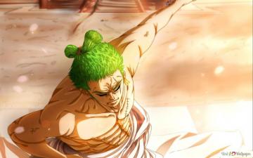 One Piece Roronoa Zoro Wano Kuni Arc HD Wallpaper