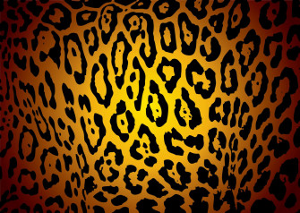 Liven Up Your Home With Exotic Animal Print Wallpaper