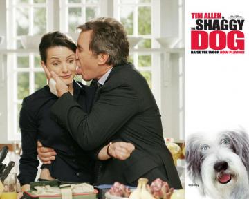 The Shaggy Dog Wallpaper Wallpoper