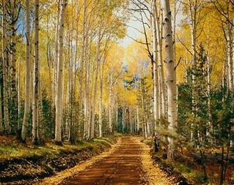 Hart Prairie Road Flagstaff Az Mural