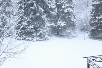 Snow Storm Wallpaper