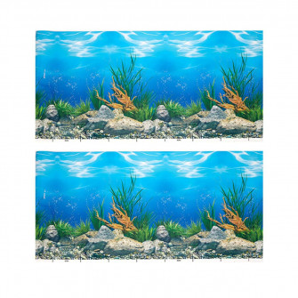 Aquarium Fish Tank Wallpaper