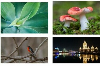 New Extra Wallpaper For Fedora Linux