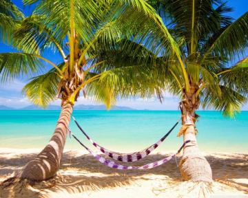 Tropical Beach Hammock Ultra HD Desktop Background Wallpaper For