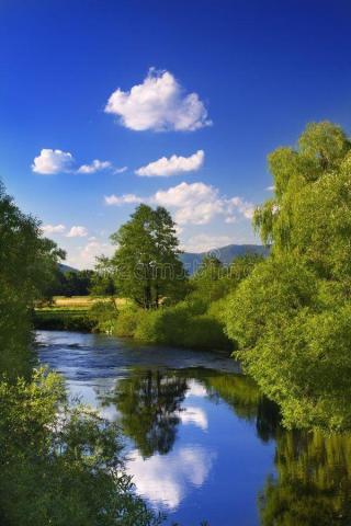 Reflection In The River Landscape With Blue Sky And Tree