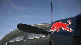The World Of Flying Bulls