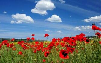 Spring Wallpaper Landscape Desktop X